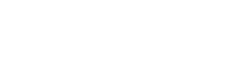 Dolphin Recreation Team